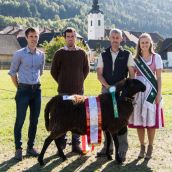 Schwarzes Bergschaf Sieger Bundeskilbernschau öblarn in der Steiermark 2018